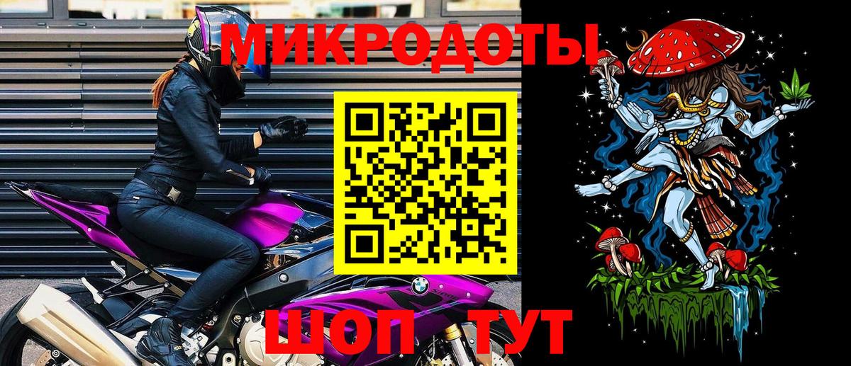 Псилоцибиновые грибы Psilocybe Когалым